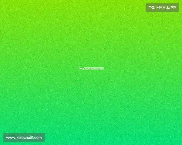 Reg电竞军团:王者之师再创辉煌 Reg电竞军团:王者之师再创辉煌