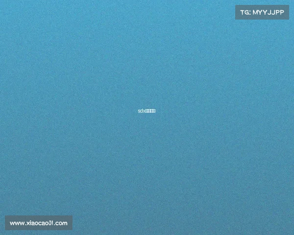 sdx电竞战队 sdx电竞战队