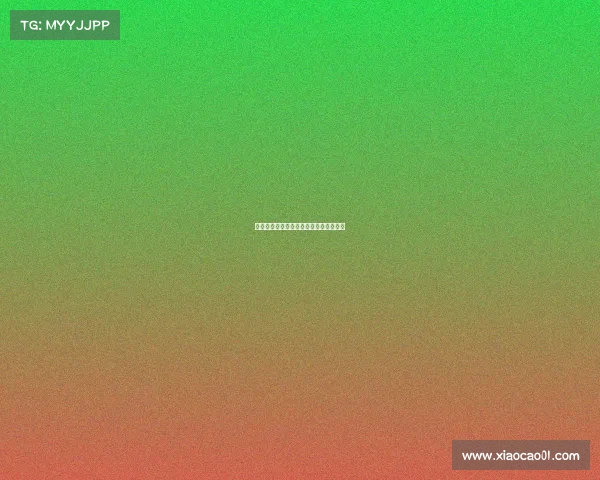 《青春竞逐龙岩高校电竞赛事战火重燃》 《青春竞逐龙岩高校电竞赛事战火重燃》