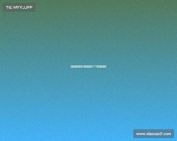 湖南电子竞技协会 湘军启航湖南VTA电竞风云再起