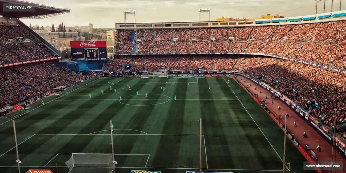 DB旗舰官网——🏋️‍♀️每一份坚持，都值得最好的装备与陪伴！​